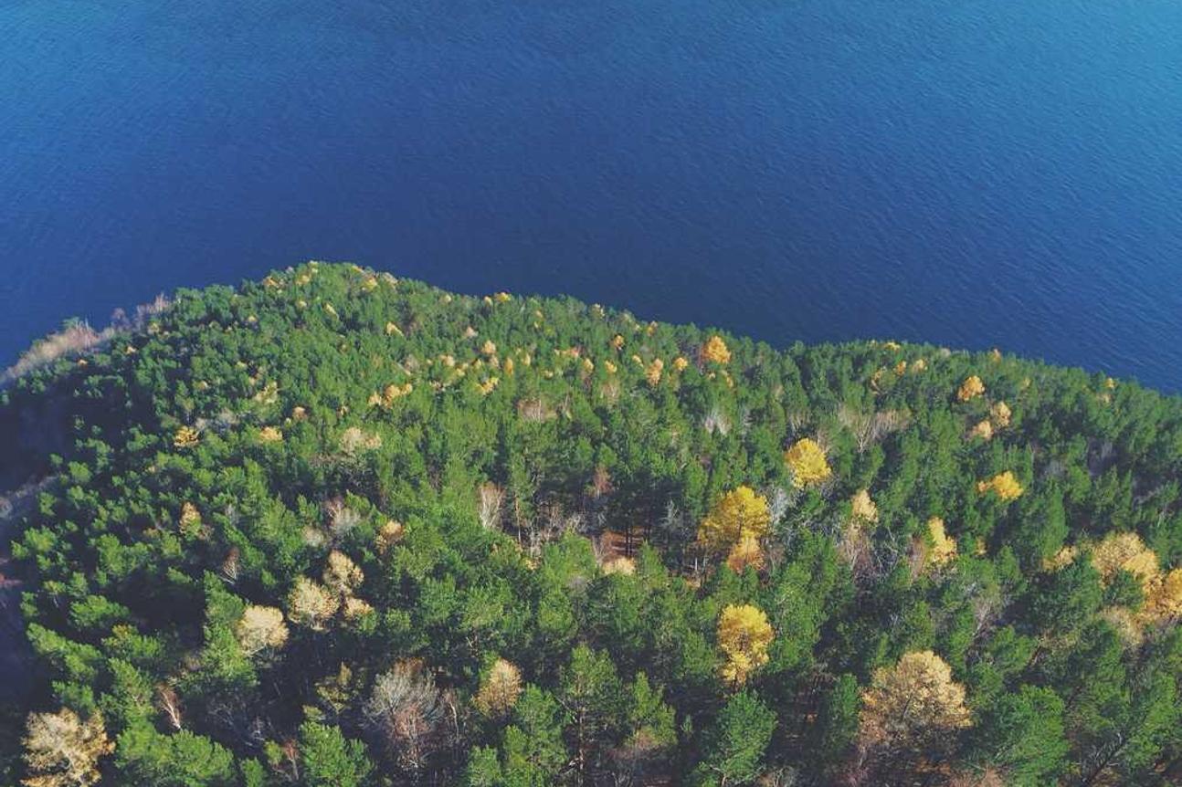 In omnis asperiores veritatis quo