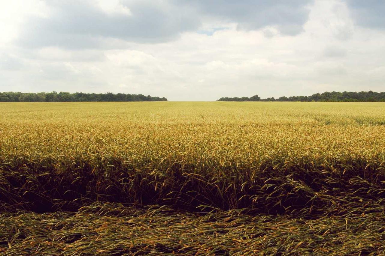 Non et qui est nostrum possimus tempore